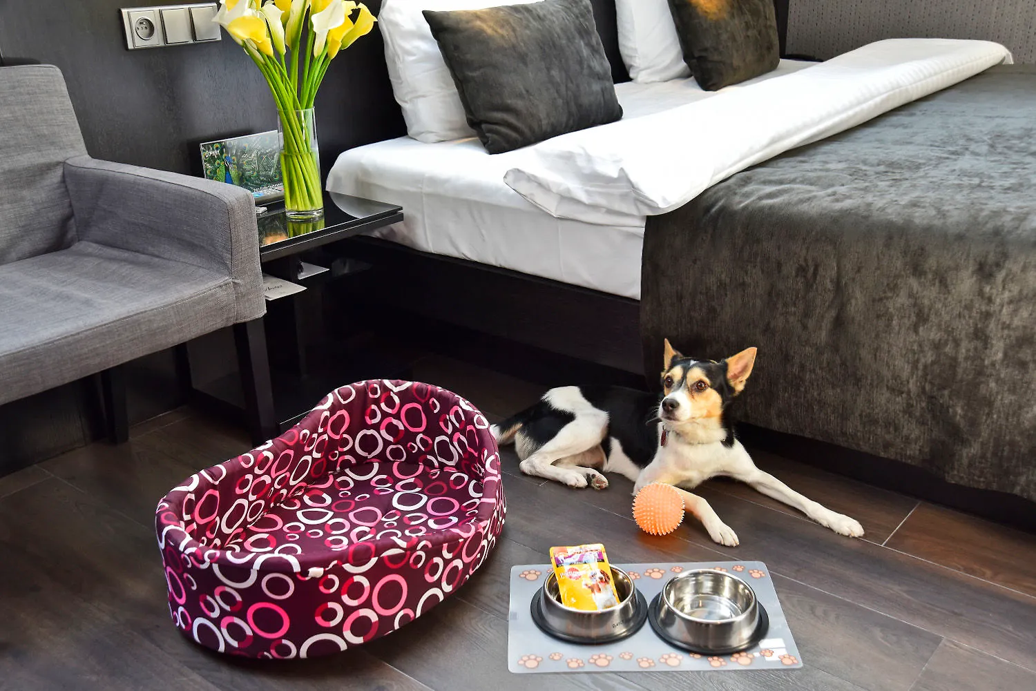 Ametyst Hotel Praha 4*, Prague Czech Republic